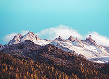 【亚冠】莫雷诺复出破门秦升艾迪逃红 申花1比2东京