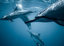 世界杯客户端安装包-【早报】打的就是精锐！谷底皇马送马竞联赛首败